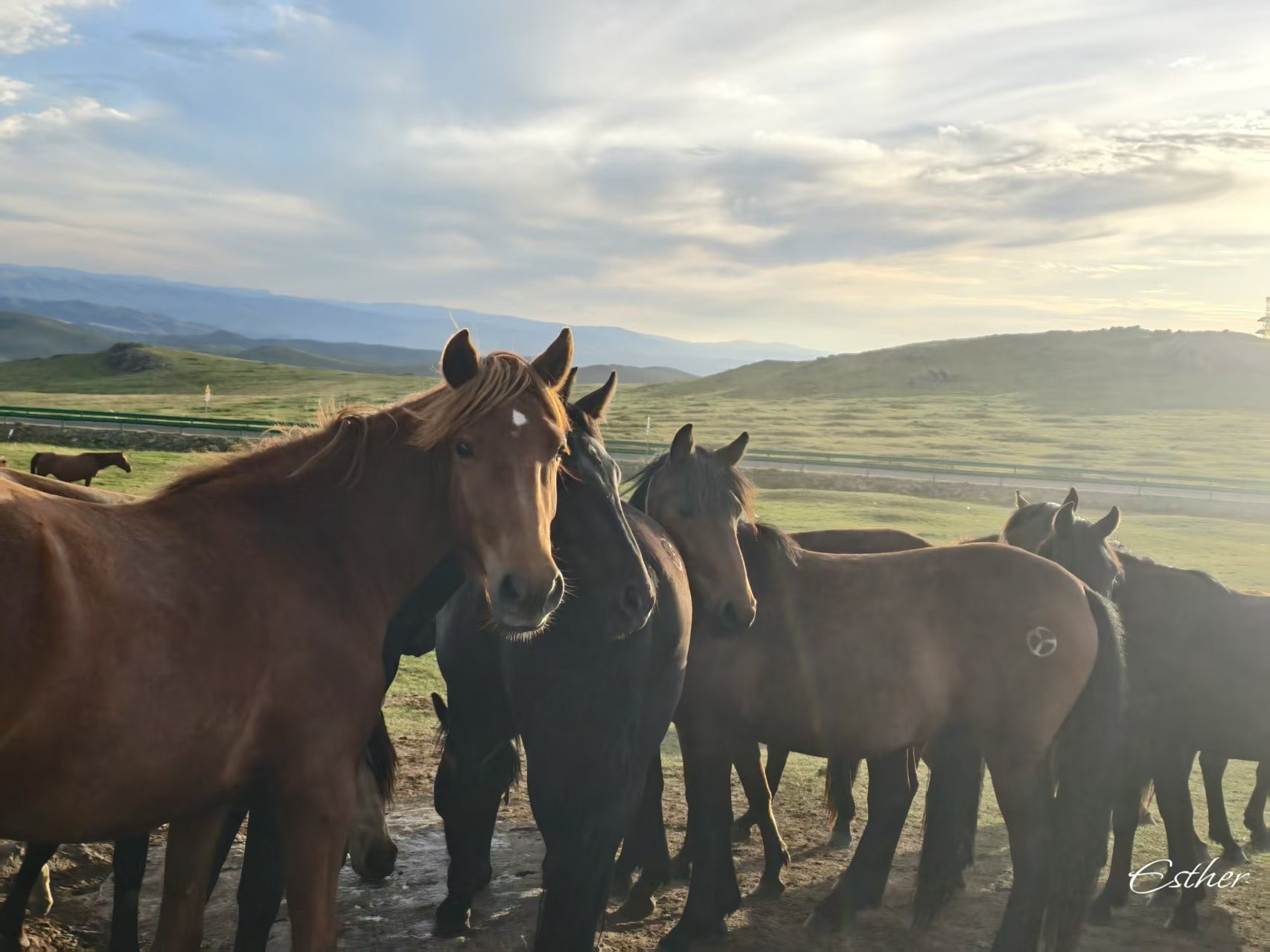 Mongolian indigenous art & shamanic journey